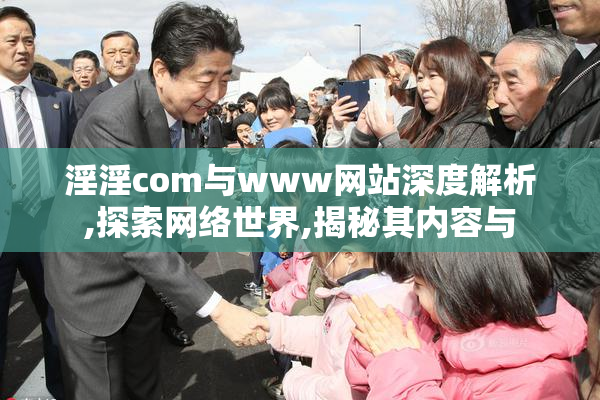 淫淫com与www网站深度解析,探索网络世界,揭秘其内容与
