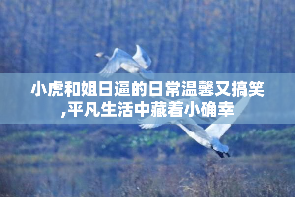 小虎和姐日逼的日常温馨又搞笑,平凡生活中藏着小确幸