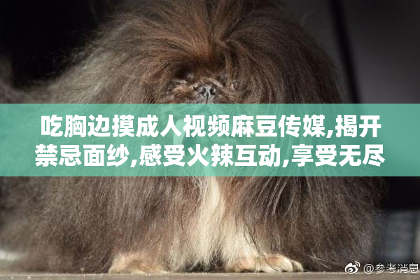 吃胸边摸成人视频麻豆传媒,揭开禁忌面纱,感受火辣互动,享受无尽