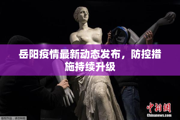 岳阳疫情最新动态发布，防控措施持续升级