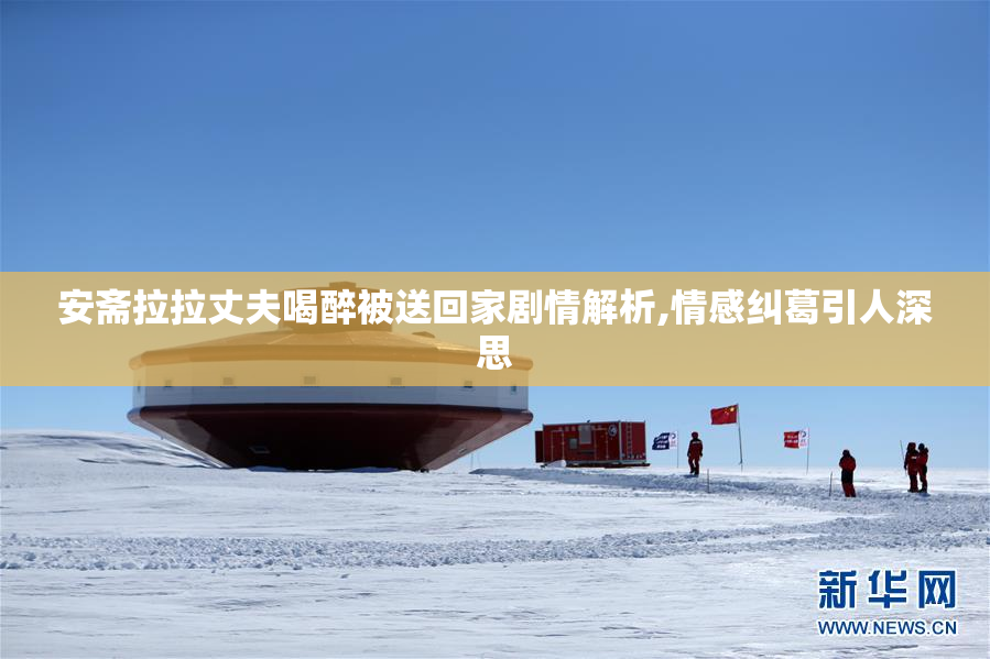 安斋拉拉丈夫喝醉被送回家剧情解析,情感纠葛引人深思