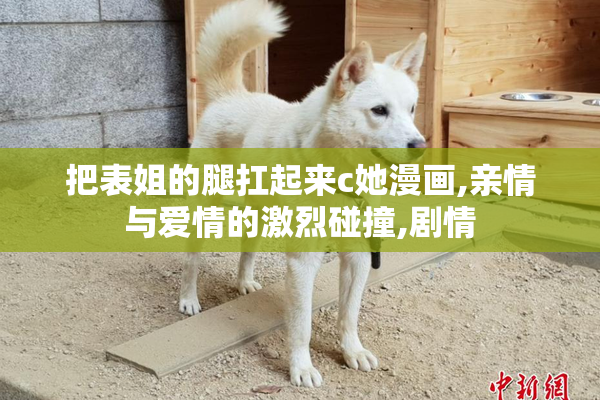 把表姐的腿扛起来c她漫画,亲情与爱情的激烈碰撞,剧情