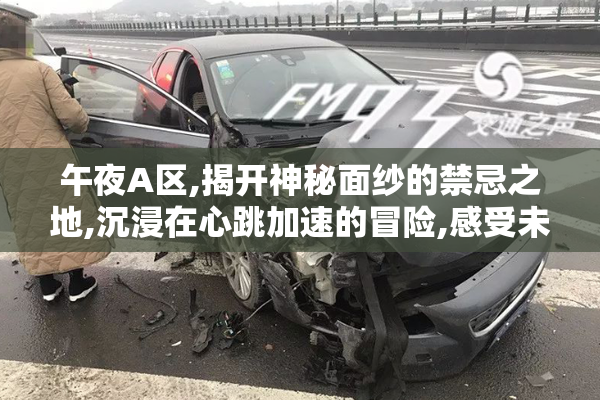 午夜A区,揭开神秘面纱的禁忌之地,沉浸在心跳加速的冒险,感受未知