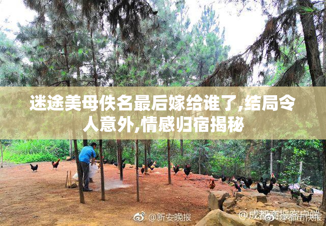 迷途美母佚名最后嫁给谁了,结局令人意外,情感归宿揭秘
