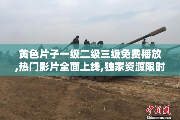 黄色片子一级二级三级免费播放,热门影片全面上线,独家资源限时