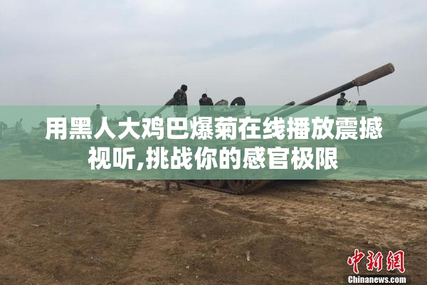 用黑人大鸡巴爆菊在线播放震撼视听,挑战你的感官极限
