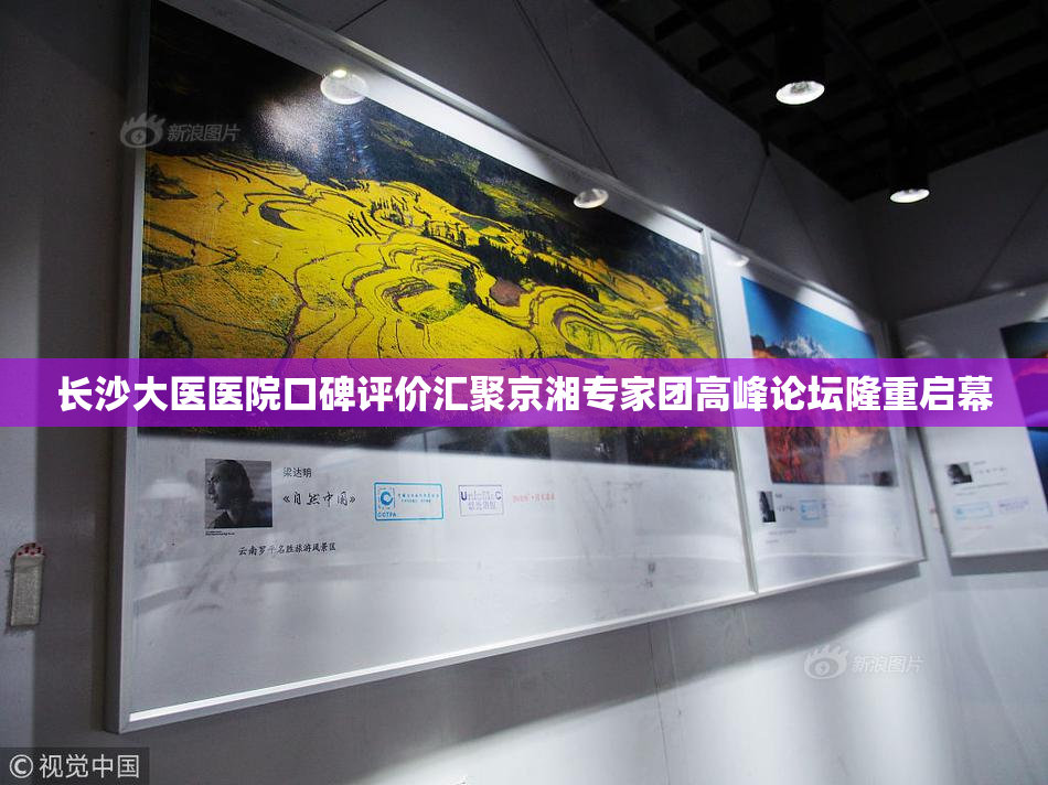 长沙大医医院口碑评价汇聚京湘专家团高峰论坛隆重启幕