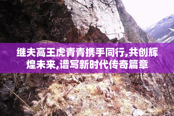 继夫高王虎青青携手同行,共创辉煌未来,谱写新时代传奇篇章