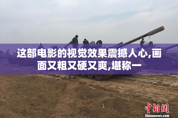 这部电影的视觉效果震撼人心,画面又粗又硬又爽,堪称一