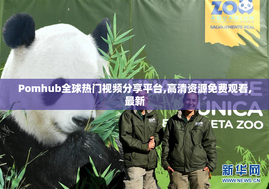 Pomhub全球热门视频分享平台,高清资源免费观看,最新