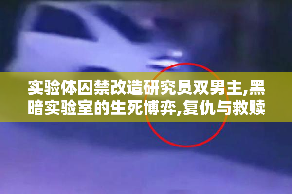 实验体囚禁改造研究员双男主,黑暗实验室的生死博弈,复仇与救赎的
