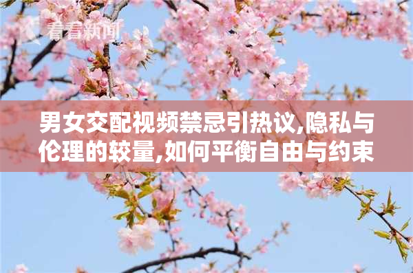 男女交配视频禁忌引热议,隐私与伦理的较量,如何平衡自由与约束