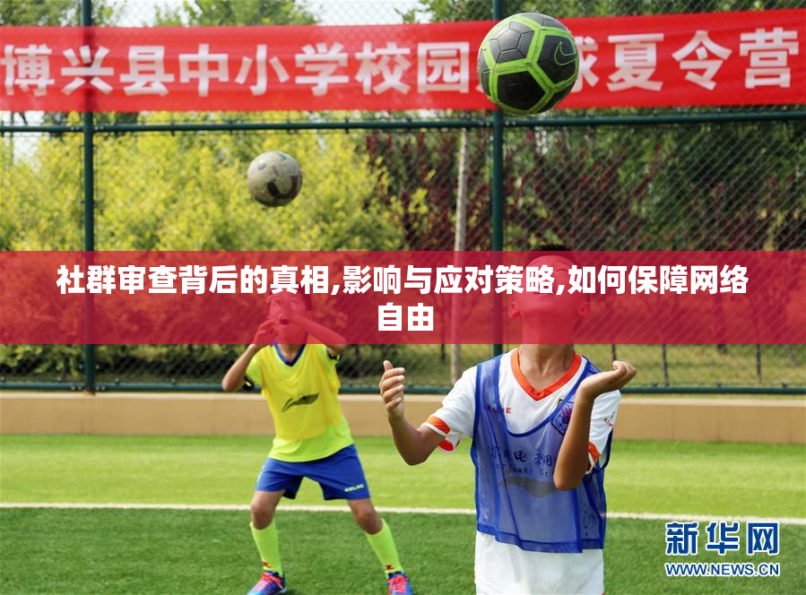 社群审查背后的真相,影响与应对策略,如何保障网络自由