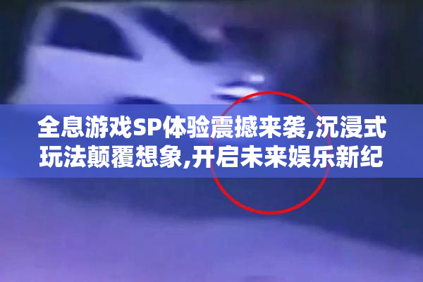 全息游戏SP体验震撼来袭,沉浸式玩法颠覆想象,开启未来娱乐新纪元