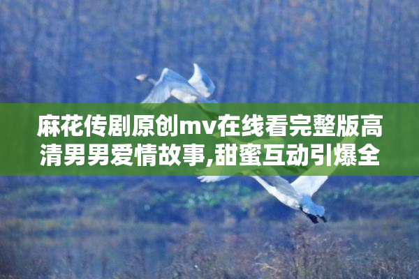 麻花传剧原创mv在线看完整版高清男男爱情故事,甜蜜互动引爆全网