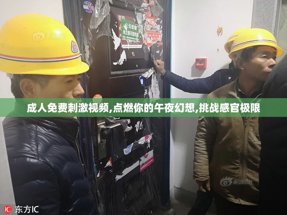成人免费刺激视频,点燃你的午夜幻想,挑战感官极限