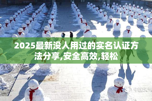 2025最新没人用过的实名认证方法分享,安全高效,轻松