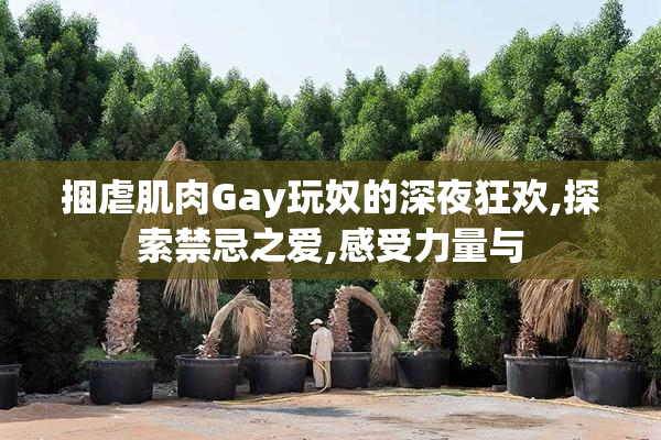 捆虐肌肉Gay玩奴的深夜狂欢,探索禁忌之爱,感受力量与
