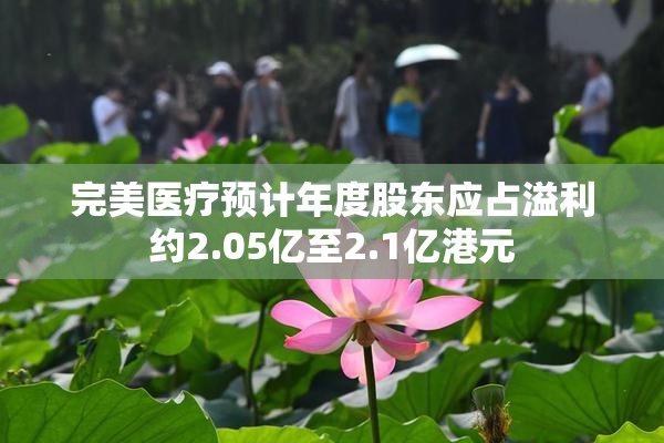 完美医疗预计年度股东应占溢利约2.05亿至2.1亿港元