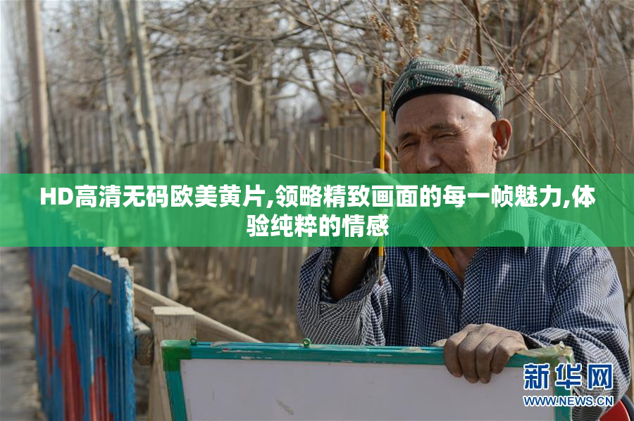 HD高清无码欧美黄片,领略精致画面的每一帧魅力,体验纯粹的情感