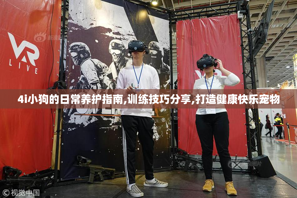 4i小狗的日常养护指南,训练技巧分享,打造健康快乐宠物