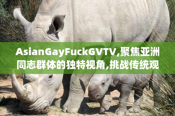 AsianGayFuckGVTV,聚焦亚洲同志群体的独特视角,挑战传统观念,开启