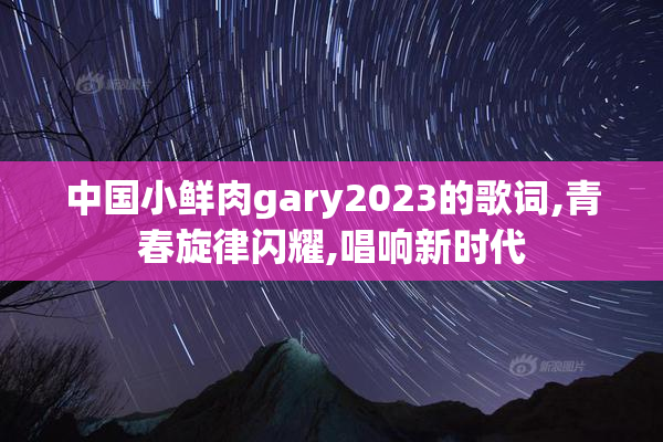 中国小鲜肉gary2023的歌词,青春旋律闪耀,唱响新时代