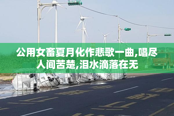 公用女畜夏月化作悲歌一曲,唱尽人间苦楚,泪水滴落在无