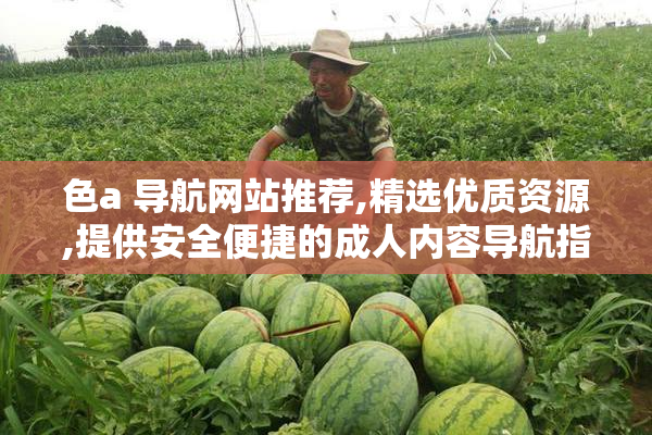 色a 导航网站推荐,精选优质资源,提供安全便捷的成人内容导航指南