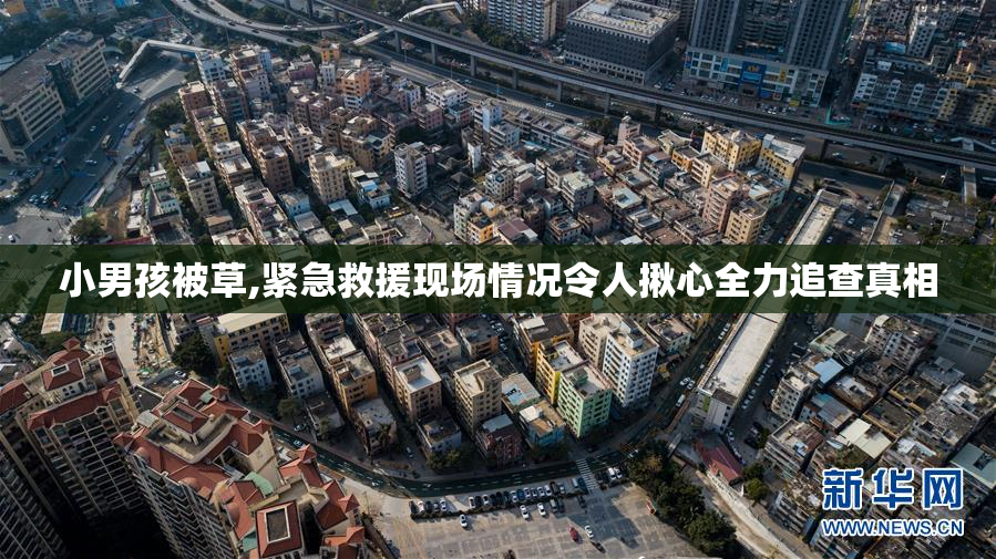 小男孩被草,紧急救援现场情况令人揪心全力追查真相