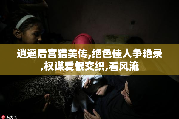 逍遥后宫猎美传,绝色佳人争艳录,权谋爱恨交织,看风流