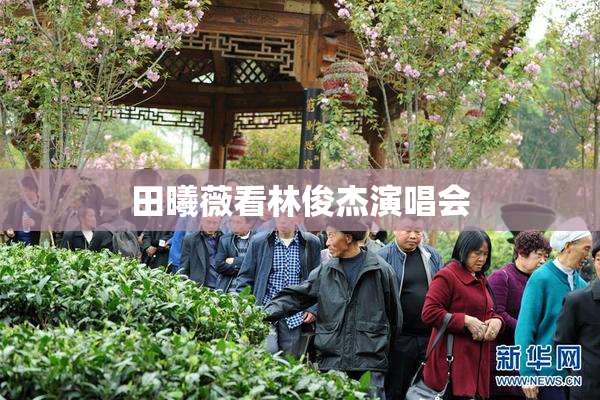 田曦薇看林俊杰演唱会