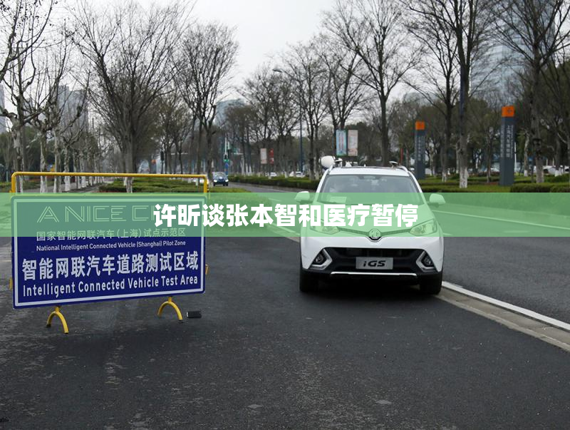 许昕谈张本智和医疗暂停