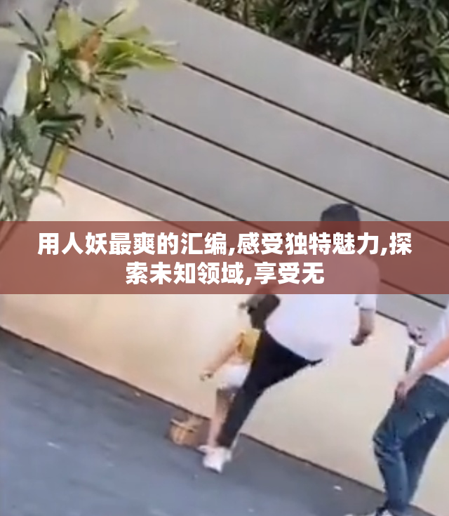 用人妖最爽的汇编,感受独特魅力,探索未知领域,享受无