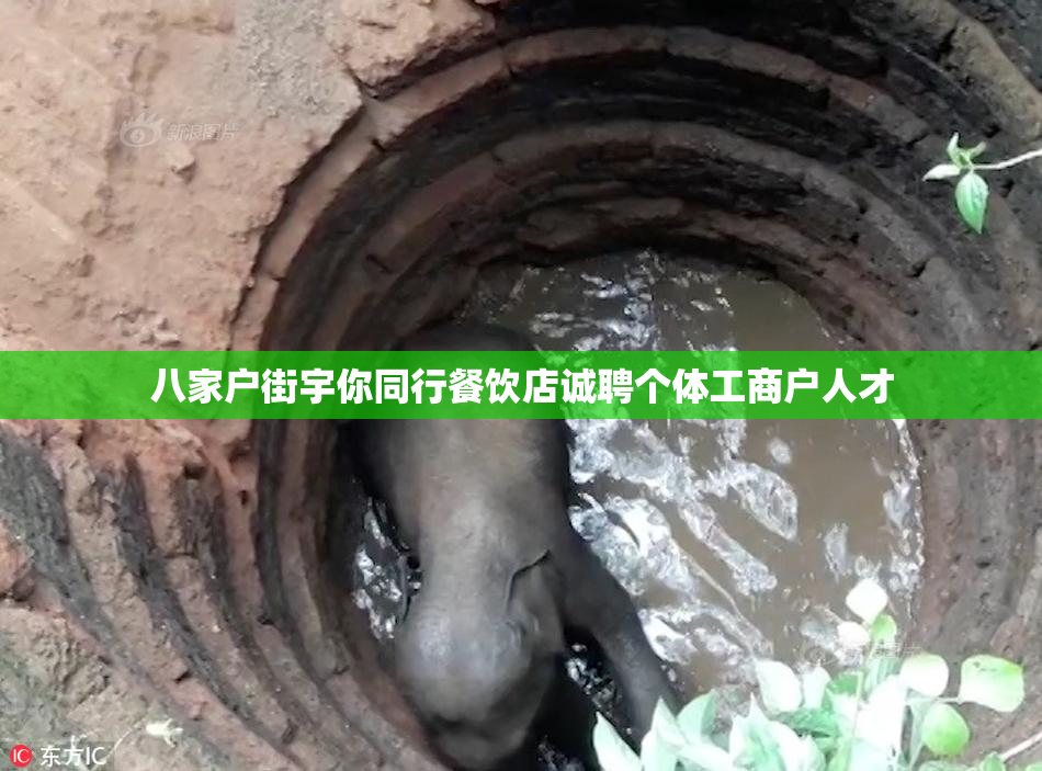 八家户街宇你同行餐饮店诚聘个体工商户人才