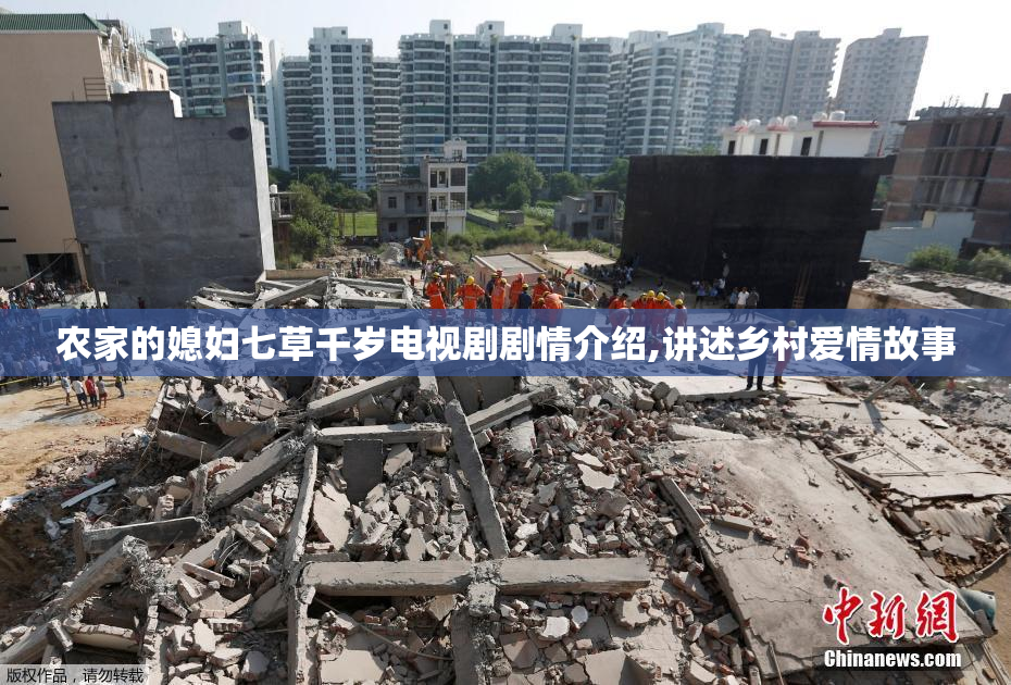 农家的媳妇七草千岁电视剧剧情介绍,讲述乡村爱情故事
