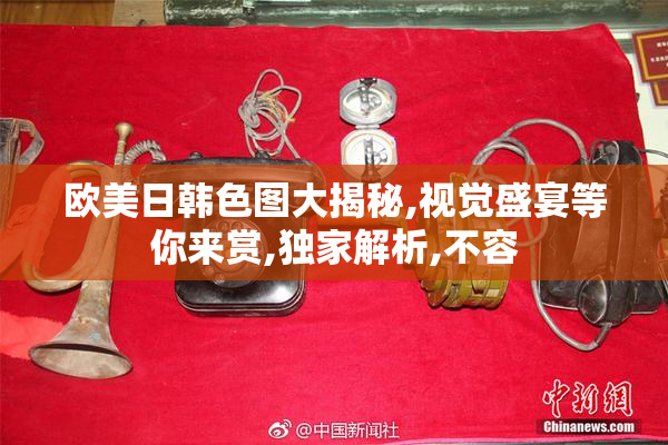 欧美日韩色图大揭秘,视觉盛宴等你来赏,独家解析,不容