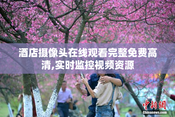 酒店摄像头在线观看完整免费高清,实时监控视频资源