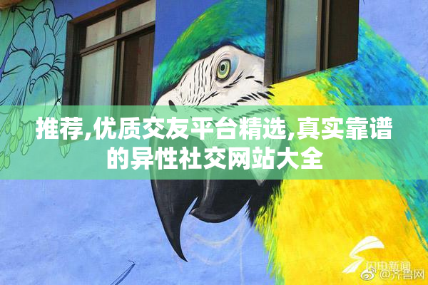 推荐,优质交友平台精选,真实靠谱的异性社交网站大全