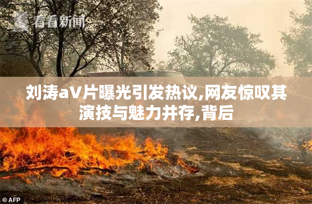刘涛aV片曝光引发热议,网友惊叹其演技与魅力并存,背后