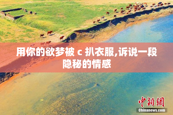 用你的欲梦被 c 扒衣服,诉说一段隐秘的情感