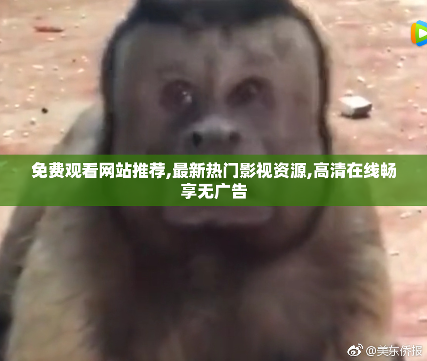 免费观看网站推荐,最新热门影视资源,高清在线畅享无广告