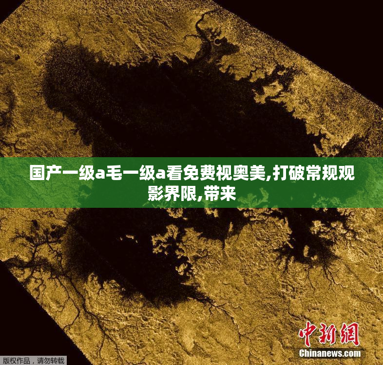 国产一级a毛一级a看免费视奥美,打破常规观影界限,带来