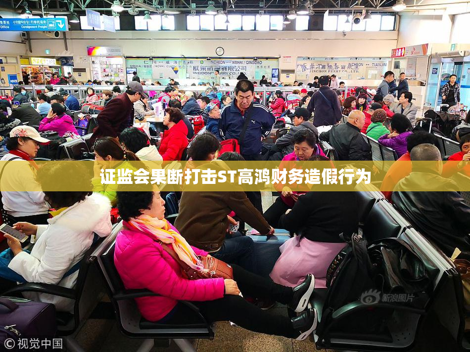证监会果断打击ST高鸿财务造假行为