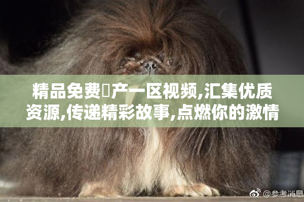 精品免费囯产一区视频,汇集优质资源,传递精彩故事,点燃你的激情