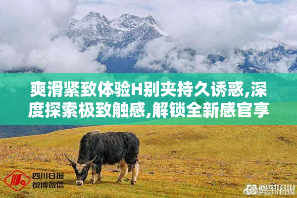 爽滑紧致体验H别夹持久诱惑,深度探索极致触感,解锁全新感官享受