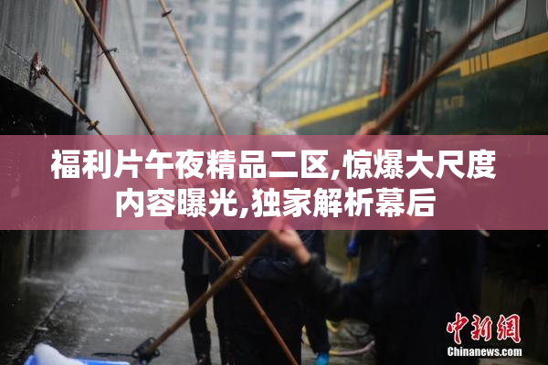 福利片午夜精品二区,惊爆大尺度内容曝光,独家解析幕后