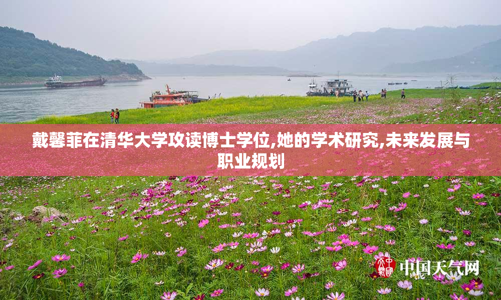 戴馨菲在清华大学攻读博士学位,她的学术研究,未来发展与职业规划