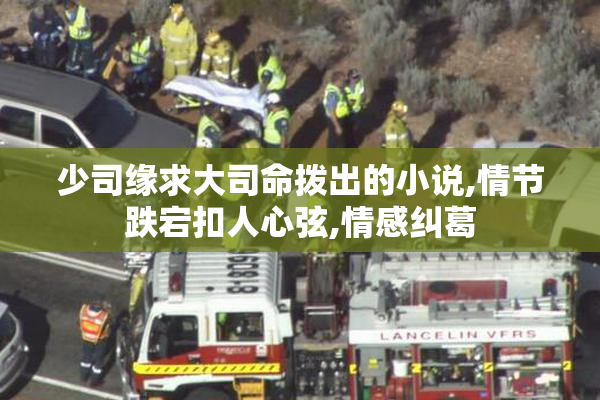 少司缘求大司命拨出的小说,情节跌宕扣人心弦,情感纠葛