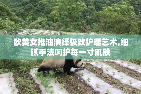 欧美女推油演绎极致护理艺术,细腻手法呵护每一寸肌肤